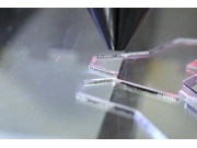 Serviço de Corte de Acrílico em Router no Socorro